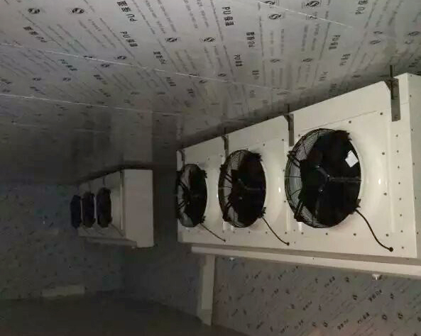 美国密西西比  A形库 速冻冷风机