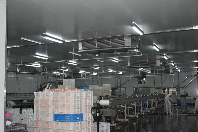 Shanghai Shenghua Food handling room cooler
