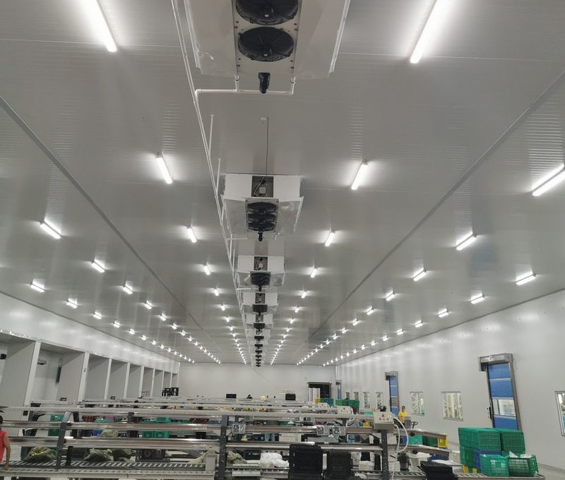Guangxi Binyang Jialian agricultural packaging room cooler